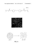 BIODEGRADABLE POLY(BETA-AMINO ESTERS) AND USES THEREOF diagram and image