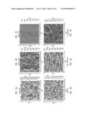 BIOCOMPOSITES AND METHODS OF MAKING THE SAME diagram and image