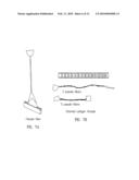 BIOCOMPOSITES AND METHODS OF MAKING THE SAME diagram and image