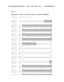 T CELL PROTEINS AND NUCLEOTIDES ENCODING THE SAME diagram and image