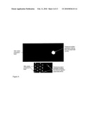 METHODS AND COMPOSITIONS FOR CONTINUOUS SINGLE-MOLECULE NUCLEIC ACID SEQUENCING BY SYNTHESIS WITH FLUOROGENIC NUCLEOTIDES diagram and image