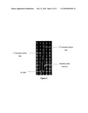 PROCESS FOR THE CAPTURE AND DEHALOGENATION OF HALOGENATED HYDROCARBONS diagram and image