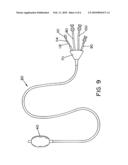 HEATABLE DELIVERY DEVICE diagram and image