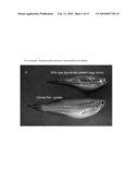 Efficient Somatic Cell Nuclear Transfer In Fish diagram and image