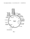 TRANSGENIC PLANTS CONTAINING ALTERED LEVELS OF STEROID COMPOUNDS diagram and image