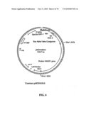 TRANSGENIC PLANTS CONTAINING ALTERED LEVELS OF STEROID COMPOUNDS diagram and image