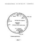 TRANSGENIC PLANTS CONTAINING ALTERED LEVELS OF STEROID COMPOUNDS diagram and image