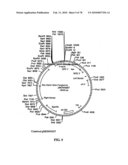 TRANSGENIC PLANTS CONTAINING ALTERED LEVELS OF STEROID COMPOUNDS diagram and image