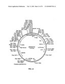 TRANSGENIC PLANTS CONTAINING ALTERED LEVELS OF STEROID COMPOUNDS diagram and image