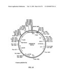 TRANSGENIC PLANTS CONTAINING ALTERED LEVELS OF STEROID COMPOUNDS diagram and image