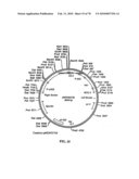 TRANSGENIC PLANTS CONTAINING ALTERED LEVELS OF STEROID COMPOUNDS diagram and image