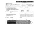  Method of Manufacturing an Identifiable Roofing Product Including a Roofing Product and a Process Plant for Carrying Out the Method diagram and image