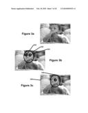 Perfecting of Digital Image Capture Parameters Within Acquisition Devices Using Face Detection diagram and image
