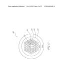 OPTICAL SENSOR UTILIZING HOLLOW-CORE PHOTONIC BANDGAP FIBER WITH LOW PHASE THERMAL CONSTANT diagram and image