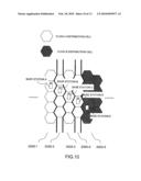 RADIOCOMMUNICATION SYSTEM AND MULTICAST DATA DISTRIBUTION METHOD IN THE RADIOCOMMUNICATION SYSTEM diagram and image