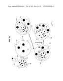 Biological targeting compositions and methods of using the same diagram and image