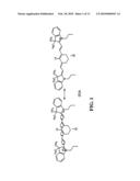 DYES AND PRECURSORS AND CONJUGATES THEREOF diagram and image