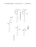 DYES AND PRECURSORS AND CONJUGATES THEREOF diagram and image