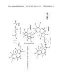 DYES AND PRECURSORS AND CONJUGATES THEREOF diagram and image