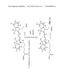 DYES AND PRECURSORS AND CONJUGATES THEREOF diagram and image