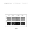 Composition for Targeted Drug Delivery and Controlled Release diagram and image