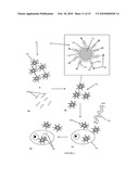 Composition for Targeted Drug Delivery and Controlled Release diagram and image