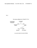 METHODS OF USING sIP-10, CD26 INHIBITORS AND CXCR3 LEVELS IN A SAMPLE TO ASSESS CLEARANCE OF INFECTION, RESPONSE TO INTERFERON THERAPY, AND TREATING CHRONIC INFECTIONS diagram and image