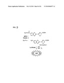 METHODS OF USING sIP-10, CD26 INHIBITORS AND CXCR3 LEVELS IN A SAMPLE TO ASSESS CLEARANCE OF INFECTION, RESPONSE TO INTERFERON THERAPY, AND TREATING CHRONIC INFECTIONS diagram and image