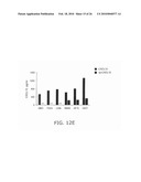 METHODS OF USING sIP-10, CD26 INHIBITORS AND CXCR3 LEVELS IN A SAMPLE TO ASSESS CLEARANCE OF INFECTION, RESPONSE TO INTERFERON THERAPY, AND TREATING CHRONIC INFECTIONS diagram and image