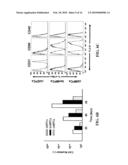 METHODS FOR PROMOTING NEOVASCULARIZATION diagram and image