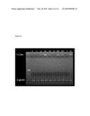 METHODS FOR ISOLATING AND USING HEMATOPOIETIC AND EMBRYONIC STEM CELLS OF THE PERITONEAL CAVITY diagram and image