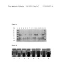 NATIVE POTATO PROTEIN ISOLATES diagram and image