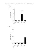 Antibodies against Human Cytimegalovirus (HCMV) diagram and image