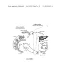 Digalactolipidic Antigen Exposed on the Surface of Apicomplex Parasites, and Diagnostic and Therapeutic Use Thereof diagram and image