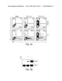 TREATMENT OF AUTOIMMUNE AND INFLAMMATORY DISEASE diagram and image