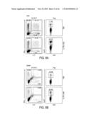 TREATMENT OF AUTOIMMUNE AND INFLAMMATORY DISEASE diagram and image