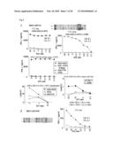 PEPTIDE VACCINES FOR CANCERS EXPRESSING TUMOR-ASSOCIATED ANTIGENS diagram and image