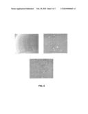 METHOD FOR OBTAINING THREE-DIMENSIONAL STRUCTURES FOR TISSUE ENGINEERING diagram and image