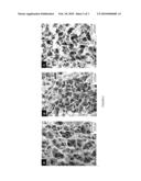 COLLAGEN-BASED MATRIX FOR USE AS RESTORATIVE MATERIAL, AND METHOD FOR PREPARING THE SAME diagram and image