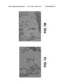 Tissue Scaffolds diagram and image