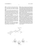 LOW-MOLECULAR WEIGHT, WATER-SOLUBLE CHITOSAN NANOPARTICLE FOR GENE DELIVERY WITH FOLIC ACID CONJUGAED THERETO AS TARGET LIGAND AND PREPARATION METHOD THEREOF diagram and image