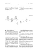 LOW-MOLECULAR WEIGHT, WATER-SOLUBLE CHITOSAN NANOPARTICLE FOR GENE DELIVERY WITH FOLIC ACID CONJUGAED THERETO AS TARGET LIGAND AND PREPARATION METHOD THEREOF diagram and image