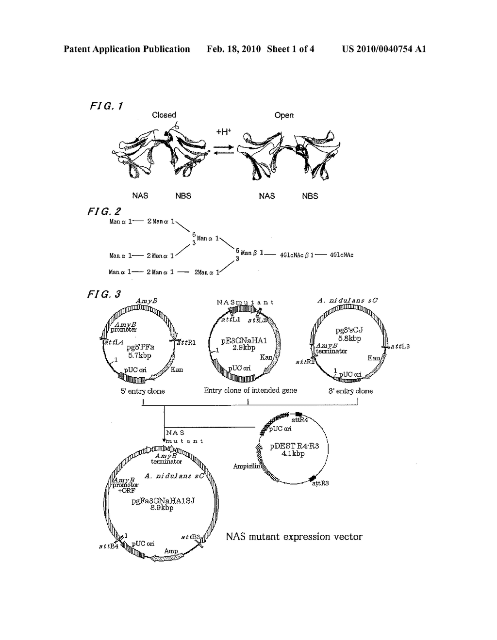 PROTEIN HAVING SWEETNESS - diagram, schematic, and image 02