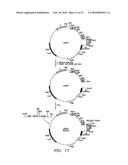 Rationally designed antibodies diagram and image