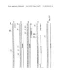 Rationally designed antibodies diagram and image