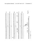 Rationally designed antibodies diagram and image