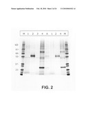 Novel assay for the separation and quantification of hemagglutinin antigens diagram and image