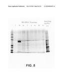 Novel assay for the separation and quantification of hemagglutinin antigens diagram and image