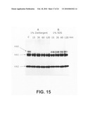 Novel assay for the separation and quantification of hemagglutinin antigens diagram and image