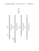 Compositons, methods and kits for real-time nucleic acid analysis in live cells diagram and image